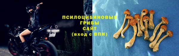 прущая мука Армянск