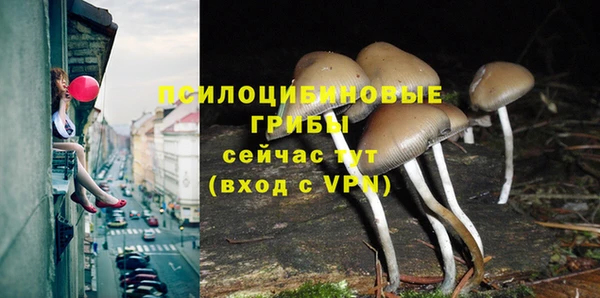 соль ск Арсеньев