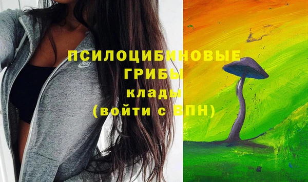 прущая мука Армянск